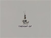 藏品(膜翅目(蜂))的圖片